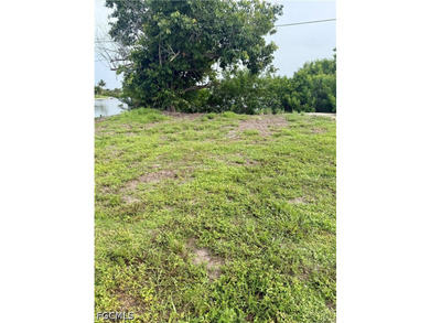 Build your Florida dream home on this affordable waterfront - photo 3