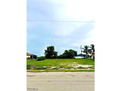 Build your Florida dream home on this affordable waterfront - photo 4