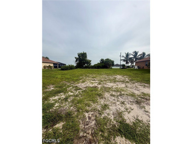 Build your Florida dream home on this affordable waterfront - photo 5