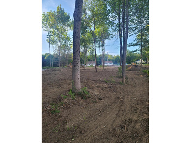 Build your dream home on this open and level lot in beautiful - photo 11