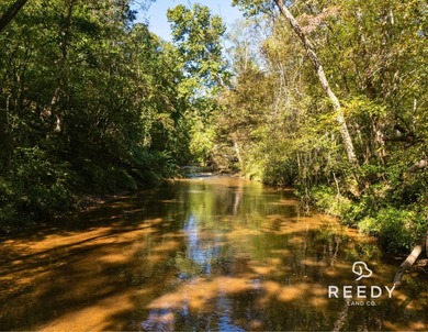 (private lake, pond, coastal) Acreage For Sale in Blacksburg South Carolina