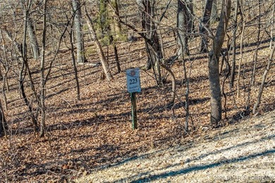 This Lakeview lot at The Villages at Shawnee Bend offers scenic - photo 17
