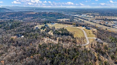 LOT 21 Eagle Crest Subdivision! BLUFF LOT! First time on the - photo 10