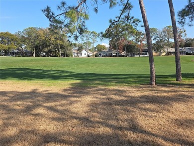 Timber Pines Golf Course Home 2 Bedrooms 2 Full Bathrooms And A - photo 31