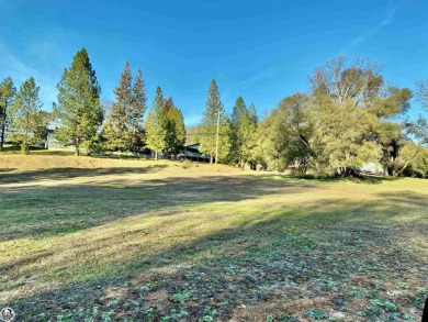 Pine Mountain Lake Lot For Sale in Groveland California