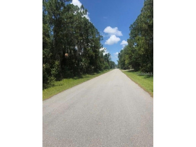 BUILD YOUR DREAM OASIS IN NORTH PORT - PRIVATE AND FAST TRACK - photo 3