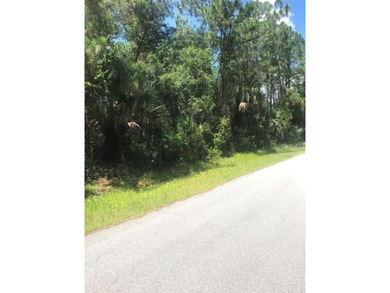 BUILD YOUR DREAM OASIS IN NORTH PORT - PRIVATE AND FAST TRACK - photo 4