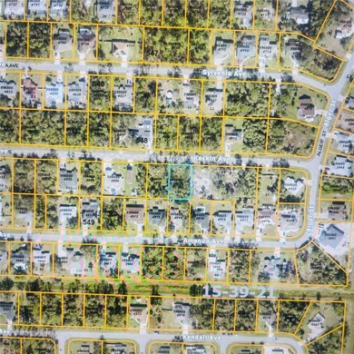 BUILD YOUR DREAM OASIS IN NORTH PORT - PRIVATE AND FAST TRACK - photo 7
