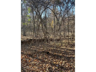 Grand Lake O the Cherokees Lot For Sale in Monkey Island Oklahoma