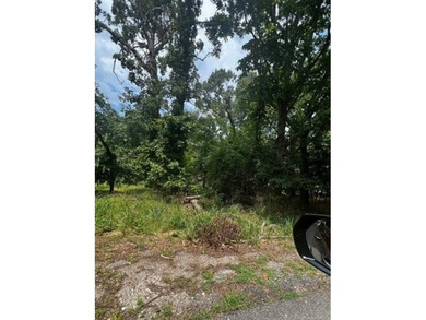 Grand Lake O the Cherokees Lot For Sale in Monkey Island Oklahoma