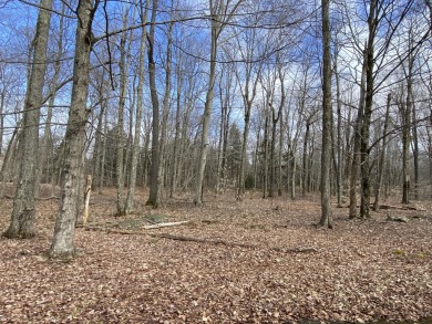 Lake Acreage For Sale in Pocono Lake, Pennsylvania