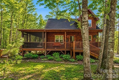 Tucked away on 3.7 private wooded acres, 204 Mountain Vista Dr - photo 2