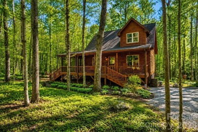 Tucked away on 3.7 private wooded acres, 204 Mountain Vista Dr - photo 3