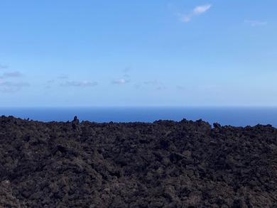 South Kona Estates - *Million dollar views!* This incredibly - photo 2