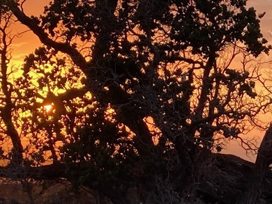 South Kona Estates - *Million dollar views!* This incredibly - photo 8