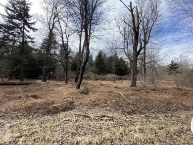 Lake Acreage For Sale in Pocono Lake, Pennsylvania