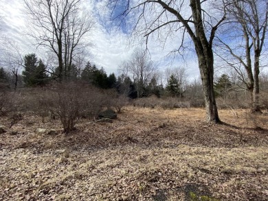 Lake Acreage For Sale in Pocono Lake, Pennsylvania