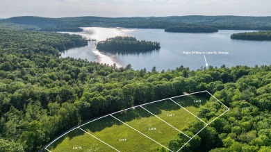 Lake Lot For Sale in Liberty, Maine