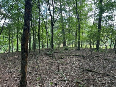 Lake Lot For Sale in Ellijay, Georgia