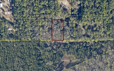 Suwannee River Lot For Sale in Live Oak Florida