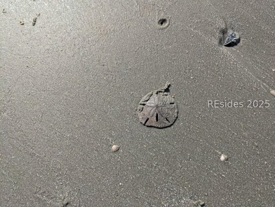 Walk to the beach and Atlantic Ocean in about 3 minutes! Side by - photo 11