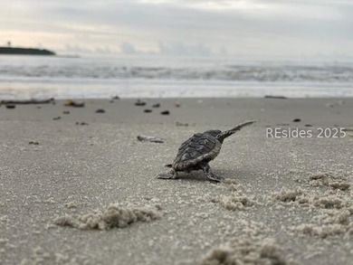 Walk to the beach and Atlantic Ocean in about 3 minutes! Side by - photo 18