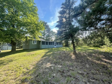 Lake Home For Sale in Mio, Michigan