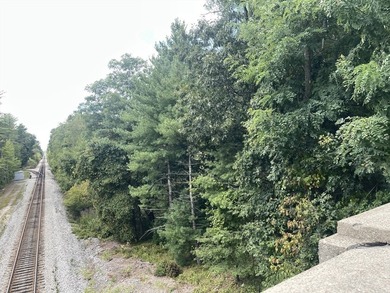 2 Lots General Use of 5.5+/- Acres with Bedford Street (Rt 18) - photo 4