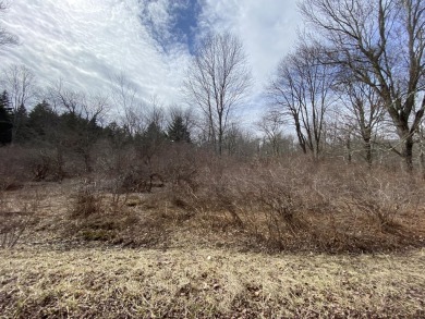 Lake Acreage For Sale in Pocono Lake, Pennsylvania