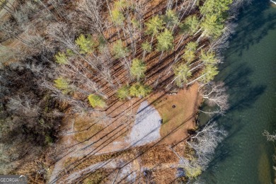 Lake Lot For Sale in Hayesville, North Carolina