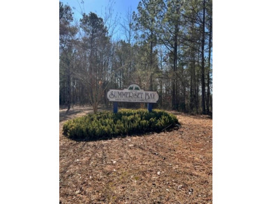  Lot For Sale in Cross Hill South Carolina