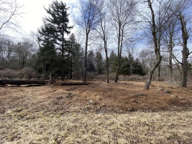 Lake Acreage For Sale in Pocono Lake, Pennsylvania