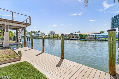 Rare opportunity to own a DIRECT GULF ACCESS waterfront pool - photo 4