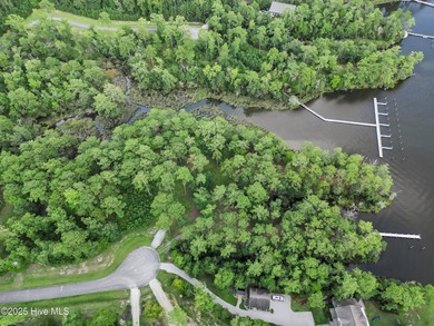 Enjoy space, water access, and community amenities in The - photo 7