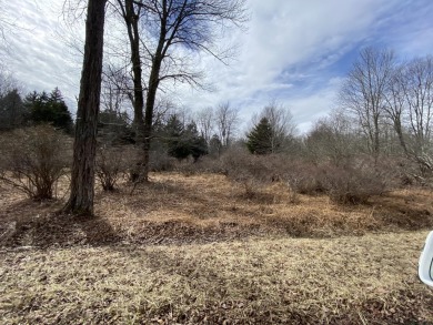 Lake Acreage For Sale in Pocono Lake, Pennsylvania