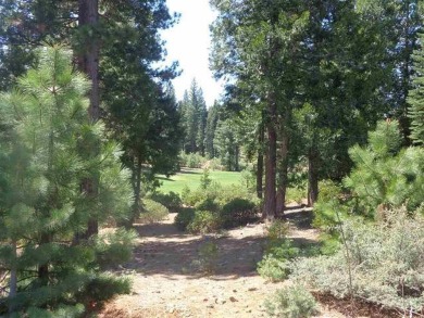 Lake Almanor Lot For Sale in Lake Almanor California