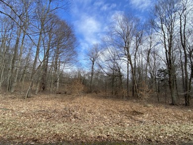 Lake Acreage For Sale in Pocono Lake, Pennsylvania