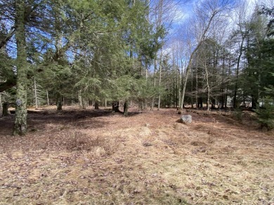 Lake Acreage For Sale in Pocono Lake, Pennsylvania
