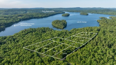 Lake St. George Acreage For Sale in Liberty Maine