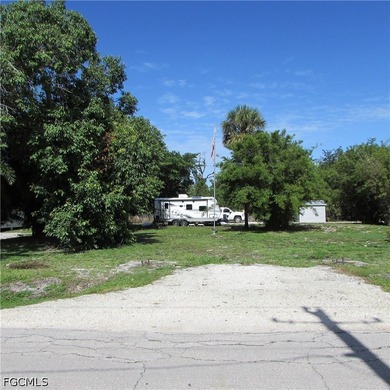 Vacant lot, cleared, Bamboo, Java Plum and a few other trees & - photo 1