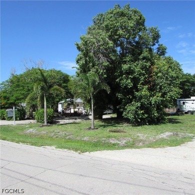 Vacant lot, cleared, Bamboo, Java Plum and a few other trees & - photo 2