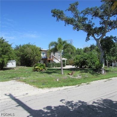 Vacant lot, cleared, Bamboo, Java Plum and a few other trees & - photo 3