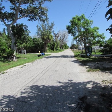 Vacant lot, cleared, Bamboo, Java Plum and a few other trees & - photo 4