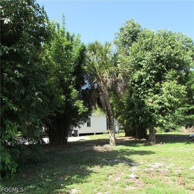 Vacant lot, cleared, Bamboo, Java Plum and a few other trees & - photo 5