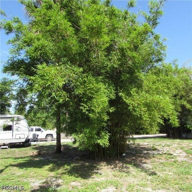 Vacant lot, cleared, Bamboo, Java Plum and a few other trees & - photo 6
