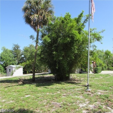Vacant lot, cleared, Bamboo, Java Plum and a few other trees & - photo 7