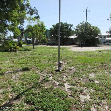 Vacant lot, cleared, Bamboo, Java Plum and a few other trees & - photo 9