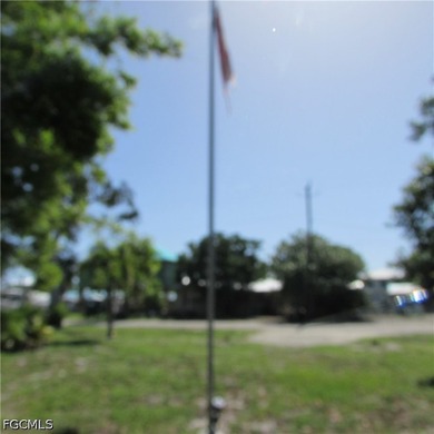 Vacant lot, cleared, Bamboo, Java Plum and a few other trees & - photo 10