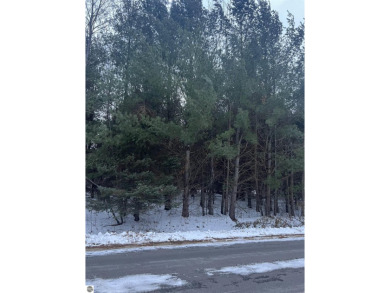 Lake Lot For Sale in Gladwin, Michigan