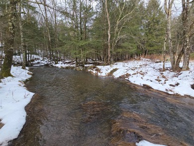 (private lake, pond, coastal) Acreage For Sale in Guilford New York
